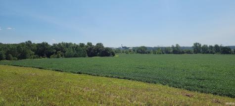 50.+/- Acres N Sycamore Road Bicknell IN 47512