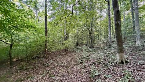 Off Co Rd 750 S French Lick IN 47432
