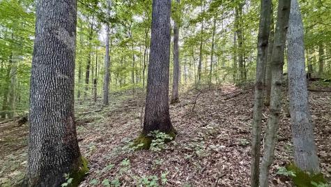 Off Co Rd 750 S French Lick IN 47432