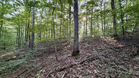 Off Co Rd 750 S French Lick IN 47432