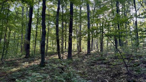Off Co Rd 750 S French Lick IN 47432
