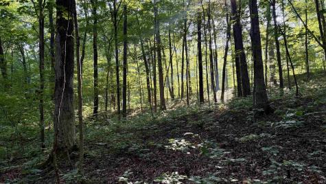 Off Co Rd 750 S French Lick IN 47432
