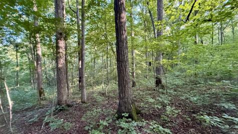 Off Co Rd 750 S French Lick IN 47432