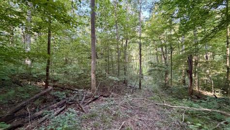 Off Co Rd 750 S French Lick IN 47432