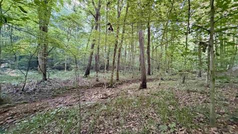 Off Co Rd 750 S French Lick IN 47432