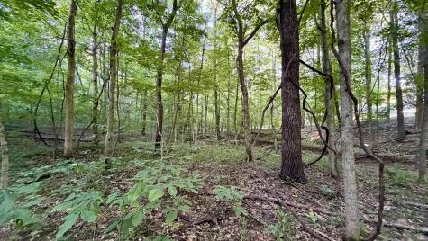 Off Co Rd 750 S French Lick IN 47432