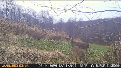 Rusk Road Shoals IN 47581