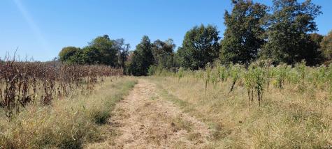 Rusk Road Shoals IN 47581