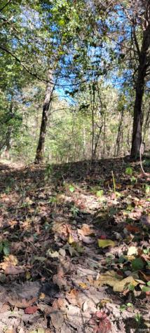 Rusk Road Shoals IN 47581