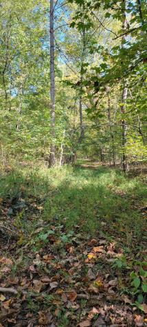 Rusk Road Shoals IN 47581
