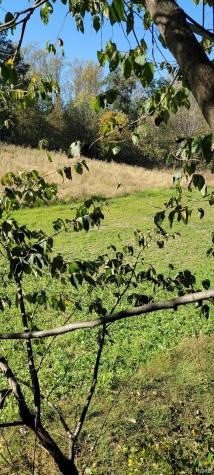 Rusk Road Shoals IN 47581