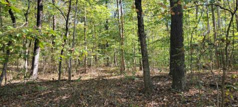 Rusk Road Shoals IN 47581