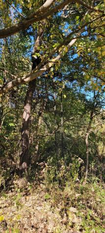 Rusk Road Shoals IN 47581