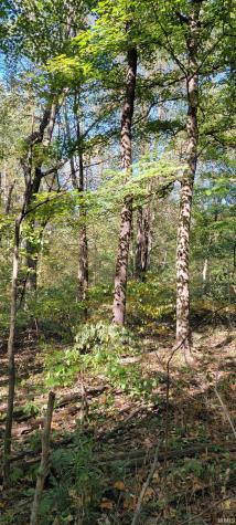 Rusk Road Shoals IN 47581