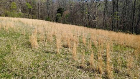0 Coal Mine Road Bloomfield IN 47424