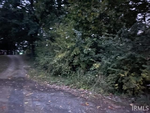 Lane 131 Turkey Lake Lot 4 & 5 Lane Lagrange IN 46761