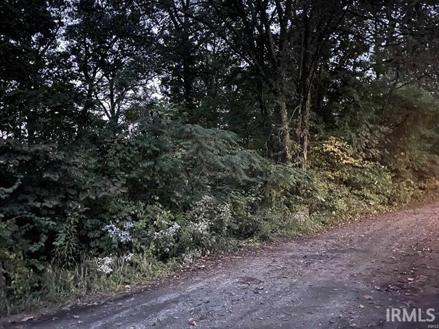 Lane 131 Turkey Lake Lot 4 & 5 Lane Lagrange IN 46761