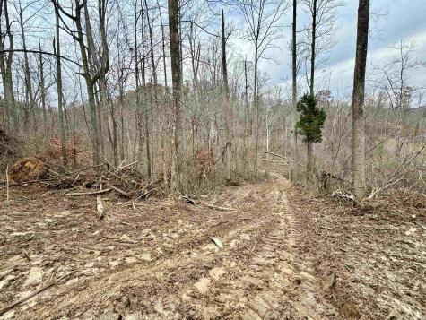 4 Co Rd 375 S French Lick IN 47432