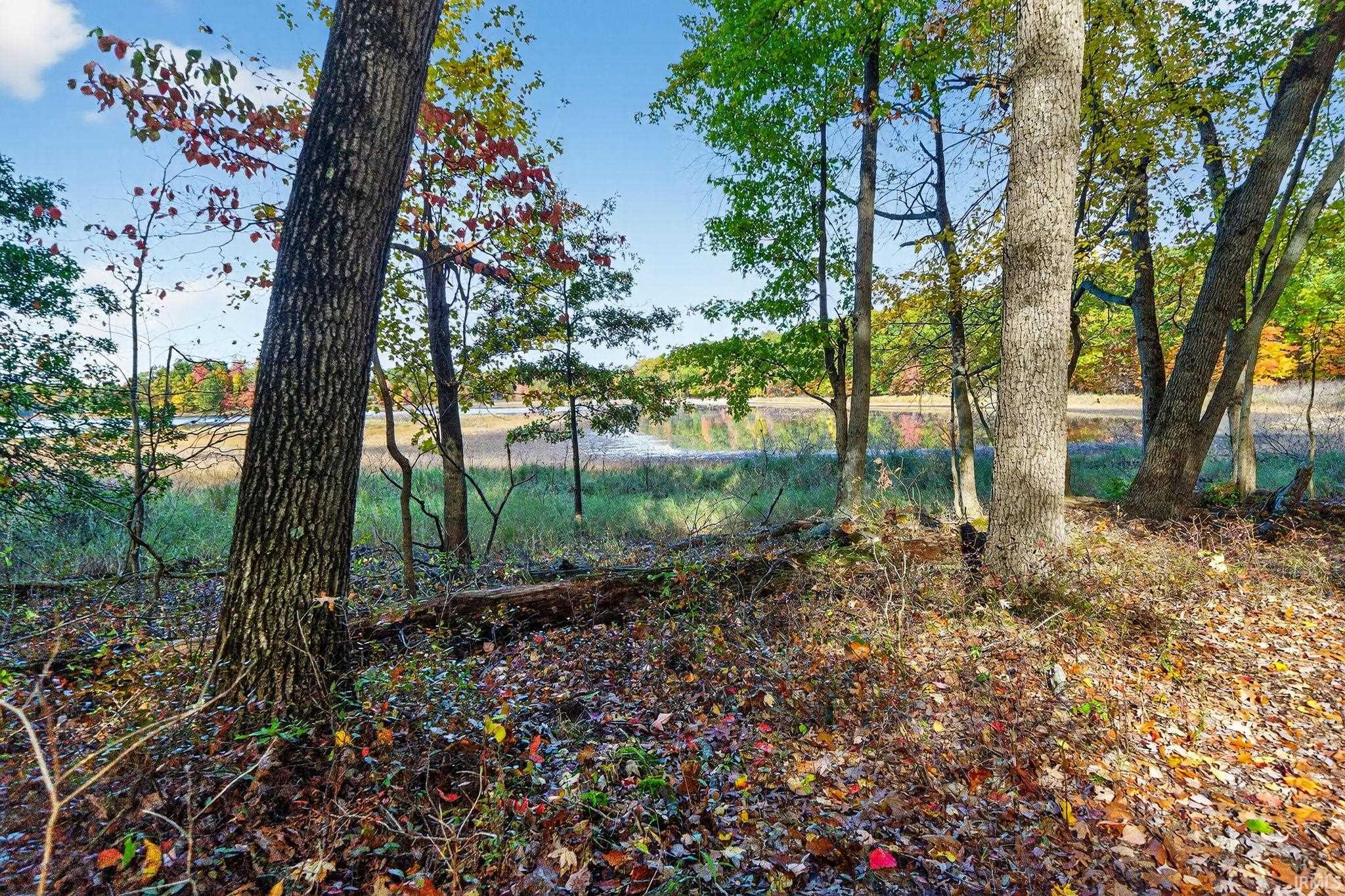 66561 Conrad Road Edwardsburg MI 49112