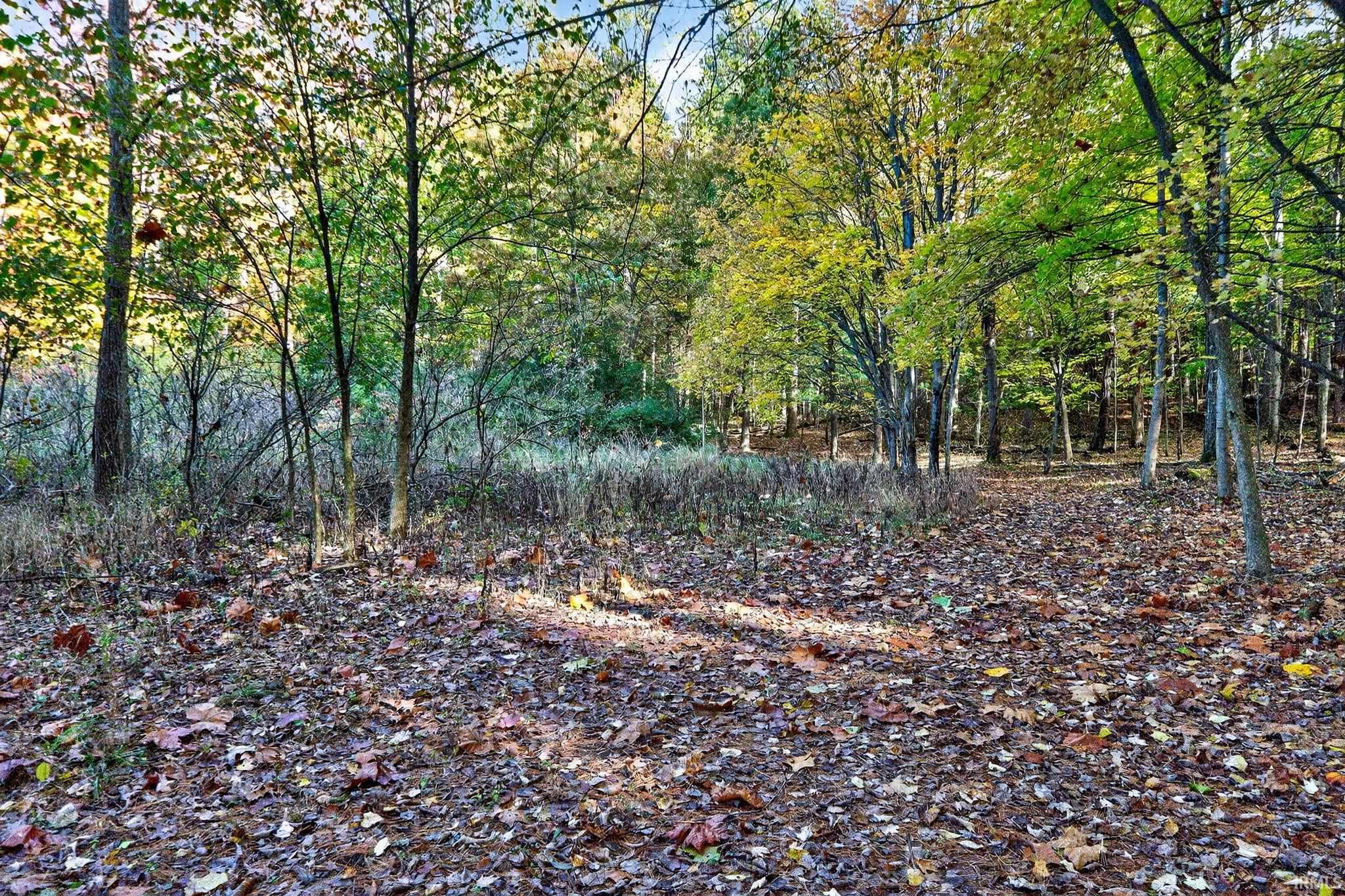 66561 Conrad Road Edwardsburg MI 49112