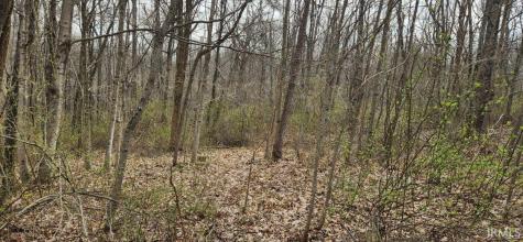 0 Braysville Road Spencer IN 47460