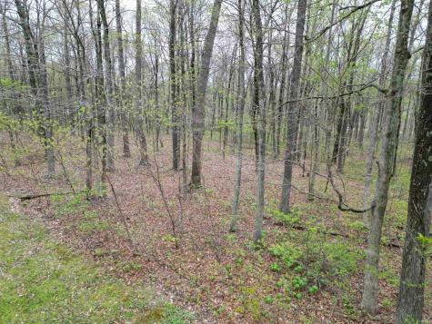 Tract 4 E Pine Road Common Bloomfield IN 47424