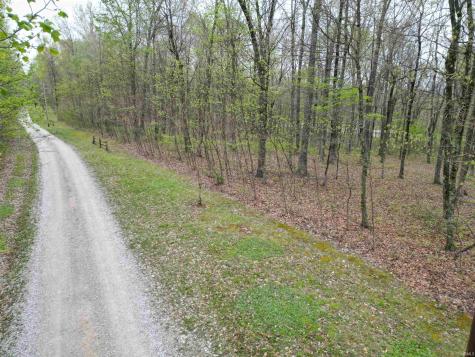 Tract 4 E Pine Road Common Bloomfield IN 47424