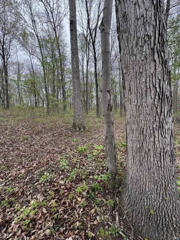 Tract 4 E Pine Road Common Bloomfield IN 47424