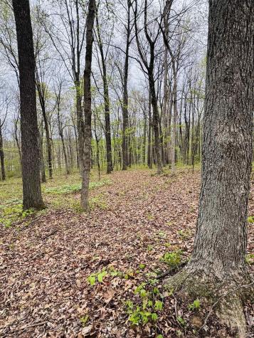 Tract 4 E Pine Road Common Bloomfield IN 47424