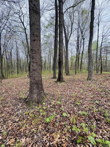 Tract 4 E Pine Road Common Bloomfield IN 47424