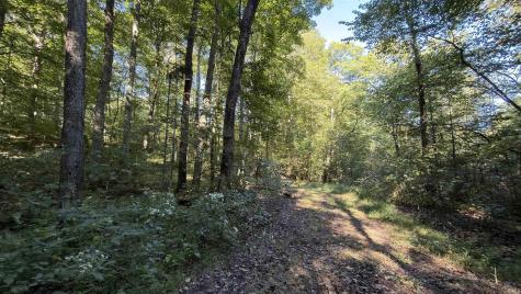 0 E Michaels Road Bloomfield IN 47424