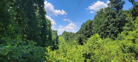 8669 Bird Lane Shoals IN 47581