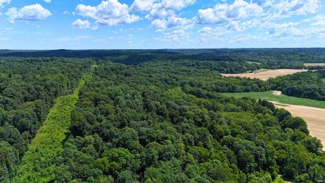 8669 Bird Lane Shoals IN 47581