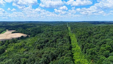 8669 Bird Lane Shoals IN 47581