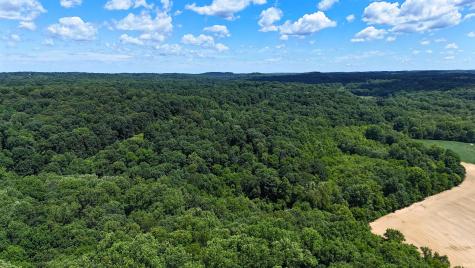 8669 Bird Lane Shoals IN 47581
