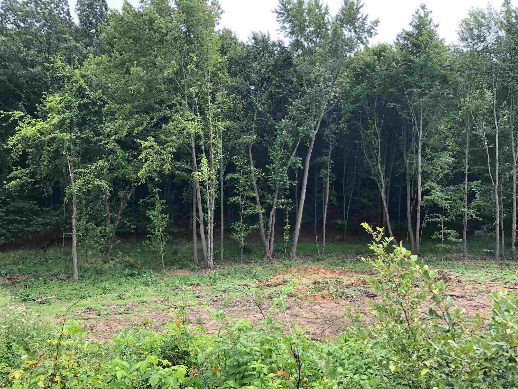 50890 Summit Ridge Trail South Bend IN 46628