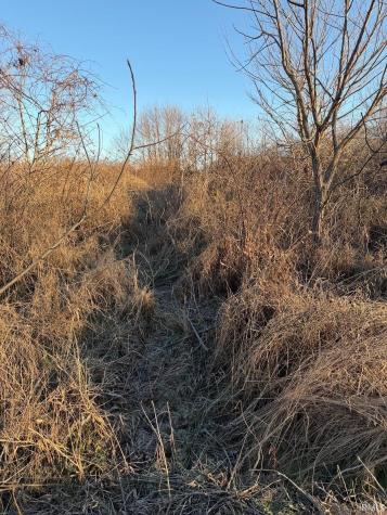 NE Of 5508 N 200 W Road Worthington IN 47471