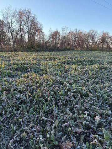 NE Of 5508 N 200 W Road Worthington IN 47471