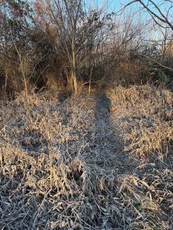 NE Of 5508 N 200 W Road Worthington IN 47471