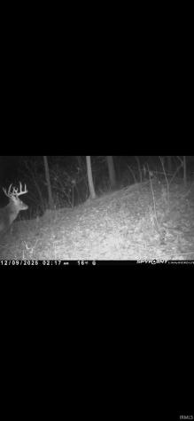 NE Of 5508 N 200 W Road Worthington IN 47471