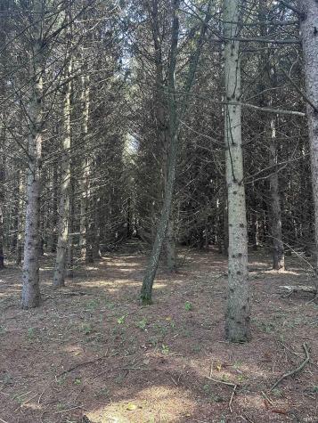 3148 N 450 Winamac IN 46996