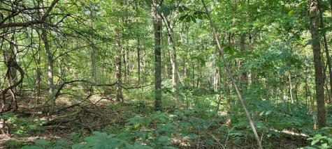 Twin Pond Road Bedford IN 47421