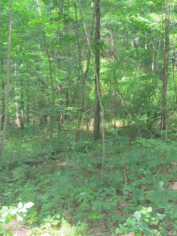 2500 S Coalmine Road Bloomfield IN 47424