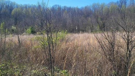 2500 S Coalmine Road Bloomfield IN 47424