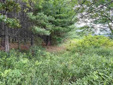 Off Ziegler Road Loogootee IN 47553