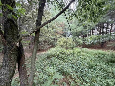 Off Ziegler Road Loogootee IN 47553