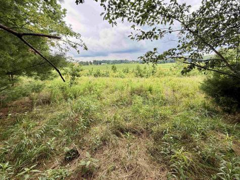 Off Ziegler Road Loogootee IN 47553