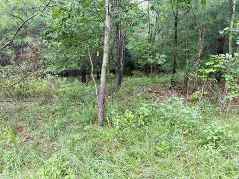 Off Ziegler Road Loogootee IN 47553