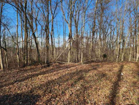 Tract 21 Lakeside Estates Springville IN 47462