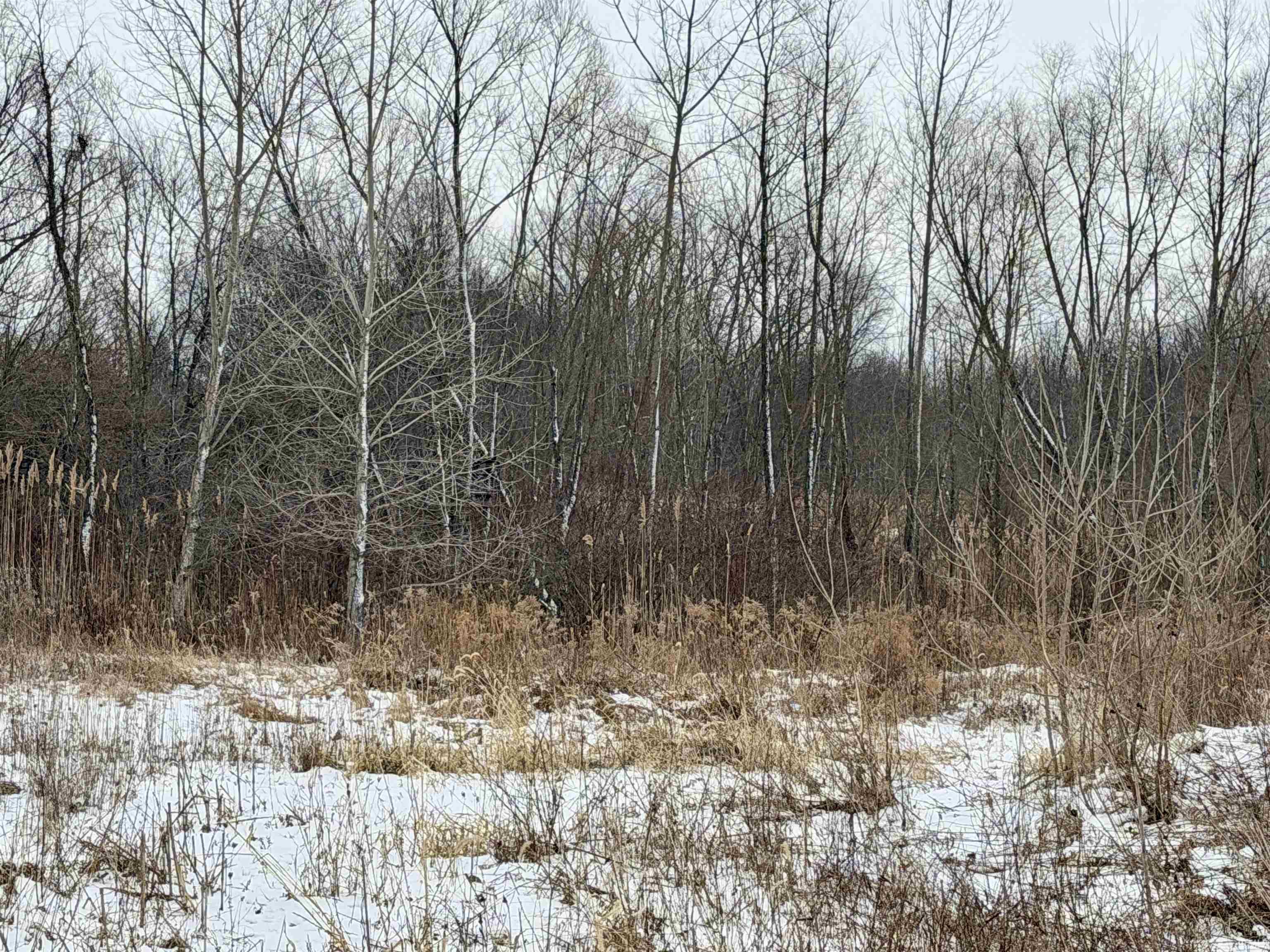 700 S Road Culver IN 46511